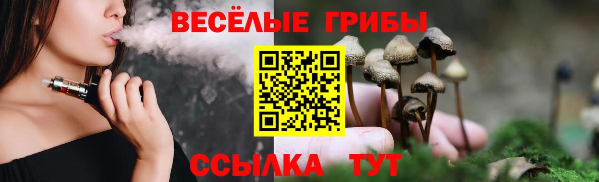 Троицк  Галлюциногенные грибы прущие грибы  Вход с VPN 